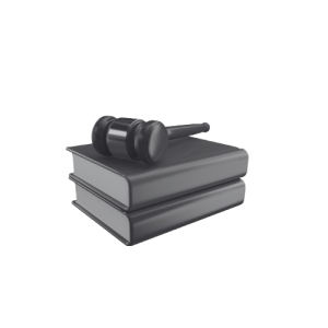 Preveritev možnosti legalizacije